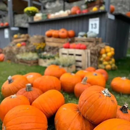 Spoldzielcza 22 Sky Line *