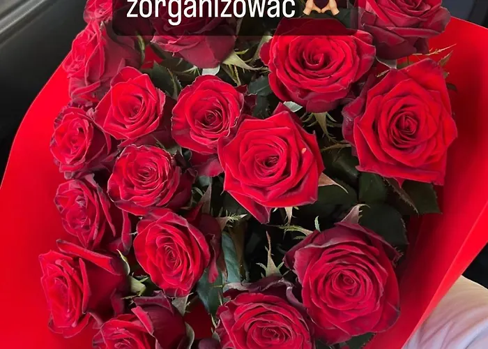 Apartment Spoldzielcza 22 Sky Line *