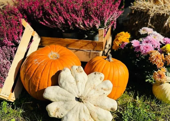 Apartment Spoldzielcza 22 Sky Line Kłodzko