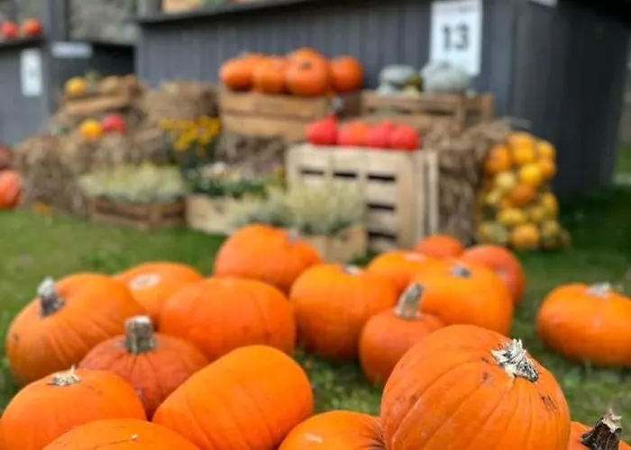 Spoldzielcza 22 Sky Line *